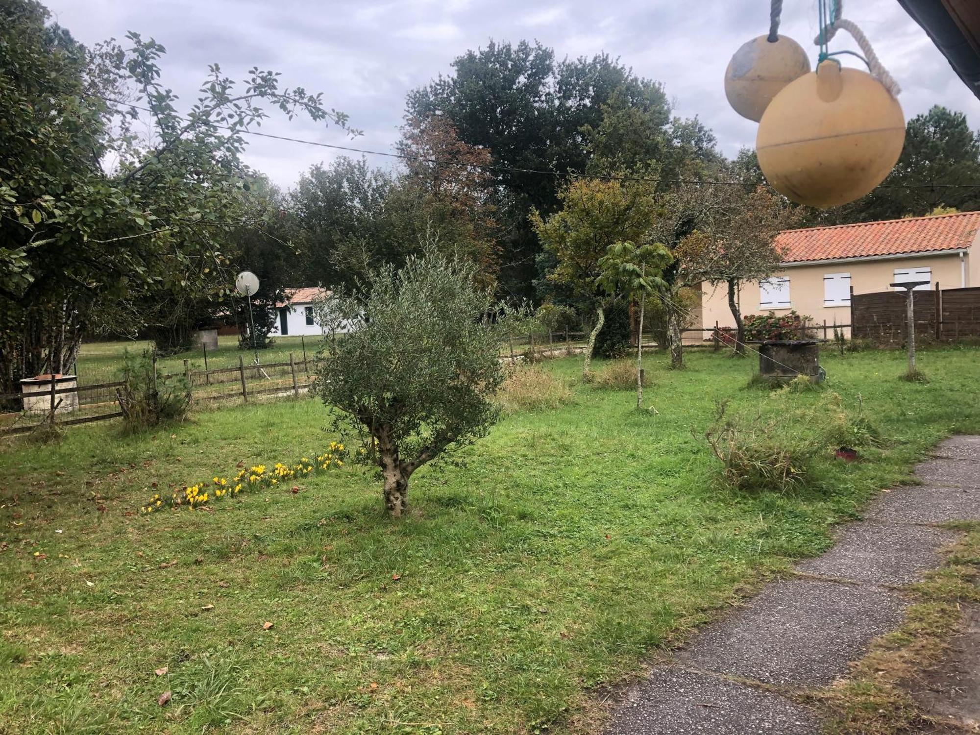 Petite Maison Rustique Et Atypique Hourtin Eksteriør bilde